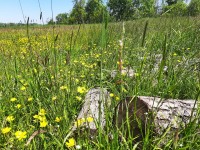 /album/winter-in-wervershoof-2020-21/nunspeet-16-jpg/